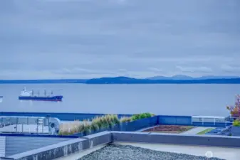 View to the West from the rooftop deck. Puget Sound and the Olympics + amazing sunsets
