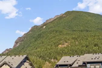 View from within the home.