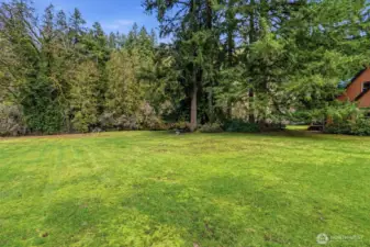 Flat/Easy to Maintain Property 5.17 acres - Room for a Shop or room to roam.