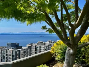 Another angle from the roof top deck.