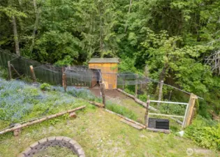 Chicken Coop