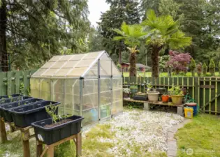 Green House