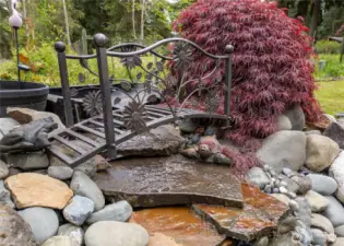Koi Pond