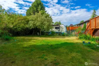 Huge Backyard with fruit trees!