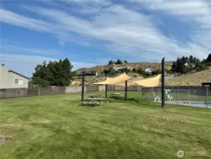 Upper Pool & Park