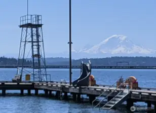 Laurelhurst Beach Club. https://laurelhurstbeachclub.com/
