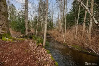 Protected creek lines back of property.
