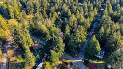 The lot is mostly cleared with a few mature trees on it.