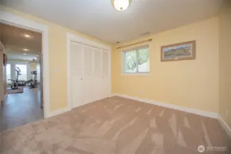 Lower Level - Bedroom 1 of 2