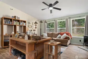 Lots of Natural Light in the Living Room