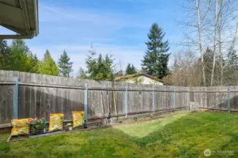 Nice sunny gared area in the fenced in back yard.