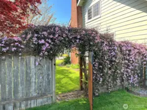 Gate to fenced backard