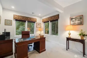 In home office with a separate closet. Potential bedroom.