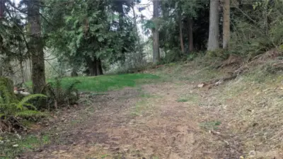 Proposed Building site area