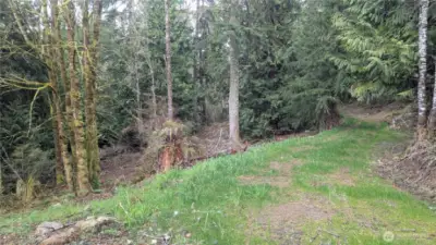 Driveway to proposed building site