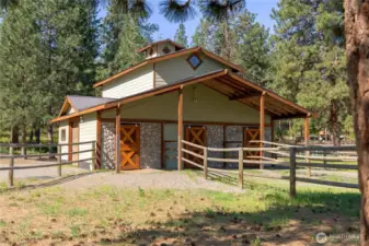 Deluxe horse Barn