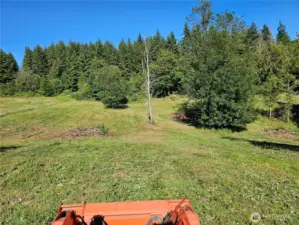 Rolling fields freshly mowed