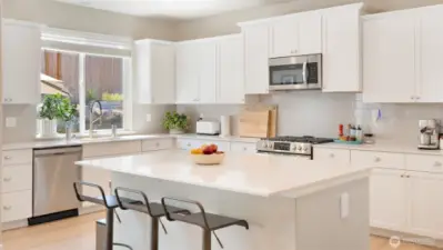 Chef's delight! So much cabinetry, HUGE quartz island, big window looking out at the backyard...