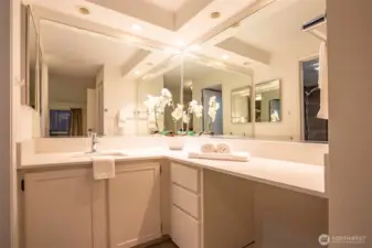 Primary Bath with new Quartz Counters