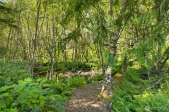 Surrounded by the serene beauty of Wenatchee National Forest.