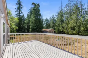 Huge yard surrounded by evergreens for privacy and large detached shop.