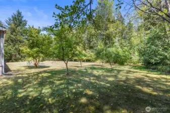 Fruit tree orchard and plenty of space for your gardens.