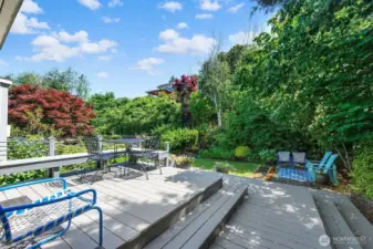 Another angle of the patio deck showing that it sits up above the backyard. Here you can see how secluded this backyard is, as it is surrounded by privacy landscaping