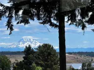 Views from dining room Chambers Bay Golf course, Mt Rainier and the Puget Sound.
