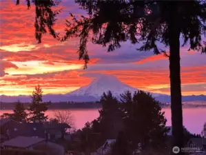 Beautiful Views of Mt Rainier, Puget Sound. & Chambers Bay