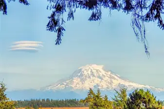 Hello again Mt Rainier!  This view from the dining room!
