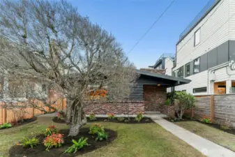 Daylight -front of house.