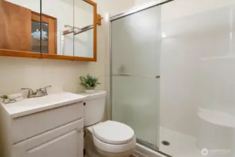 This well-kept Garden Level bathroom offers a bright step-in shower and practical storage steps from the nearby bedrooms and family room.