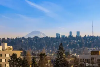 Beautiful rooftop views