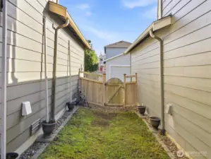 minimalist yard space- easy maintenance and care!