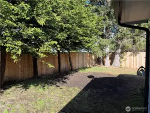 Spacious Fenced Back Yard