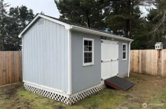 Large Shed with electric