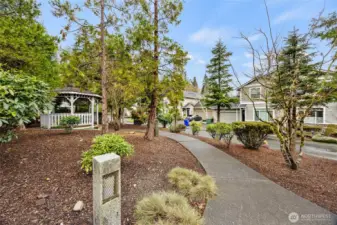 Play Ground in front the house