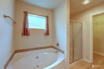 Closer look at the soaking tub, walk-in shower, and walk-in closet.