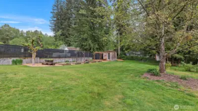 Backyard raised garden beds, grapes, herbs, shed