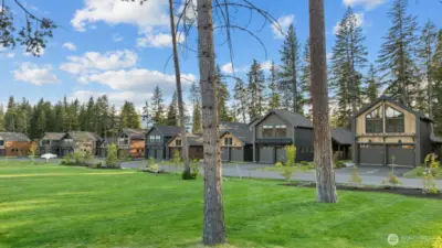 The Cabins