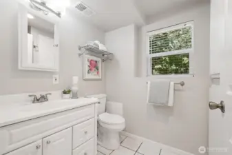 Lower level bathroom