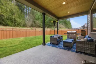 Large, fully fenced backyard with lighted, covered patio looks out to greenbelt