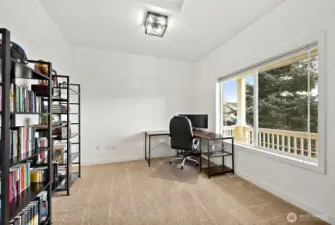 Sizable den/office
