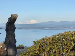 View from Camano Country Club.