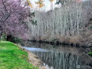 Camano Country Club park.