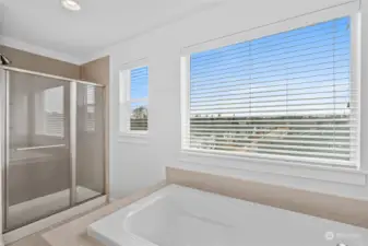 Soaking tub & spacious tiled shower