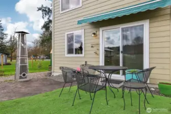 Back Yard