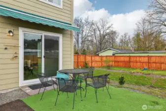 Back Yard