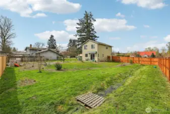 Back Yard
