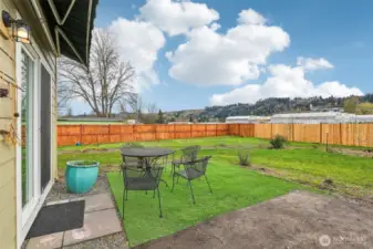 Back Yard